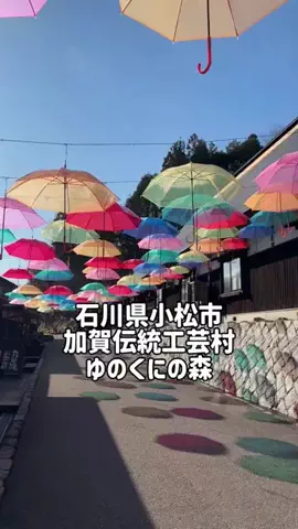 のぶ(スーパー旅行系クリエイター)のTikTok投稿