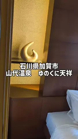 のぶ(スーパー旅行系クリエイター)のTikTok投稿