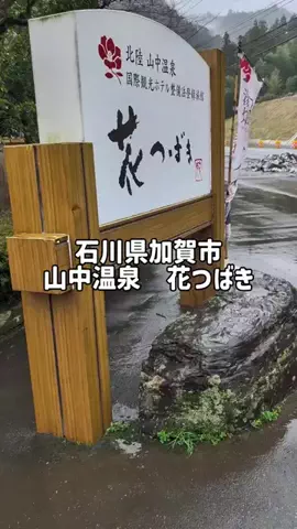 のぶ(スーパー旅行系クリエイター)のTikTok投稿