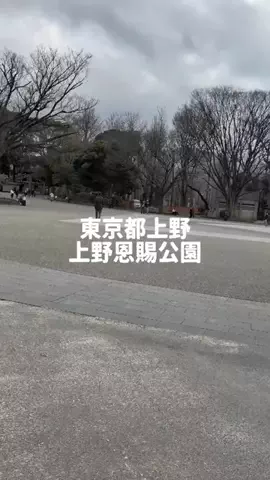のぶ(スーパー旅行系クリエイター)のTikTok投稿