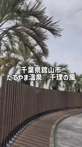のぶ(スーパー旅行系クリエイター)のTikTok投稿