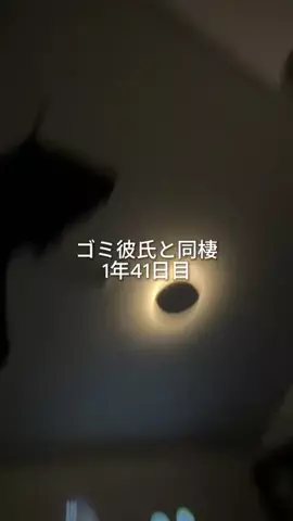 ゴミ彼氏と暮らす女子大生のTikTok投稿