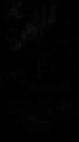 ryo familycampのTikTok投稿