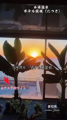 桜燕亭のTikTok投稿