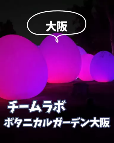 すいのTikTok投稿