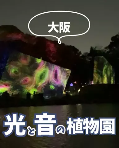 すいのTikTok投稿