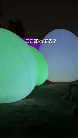 すいのTikTok投稿