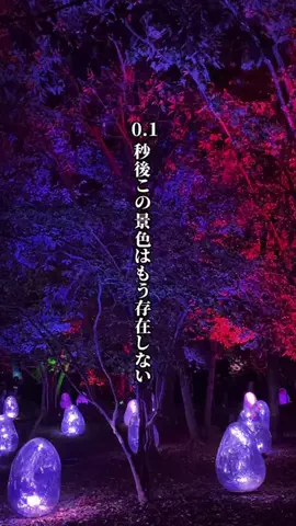 すいのTikTok投稿
