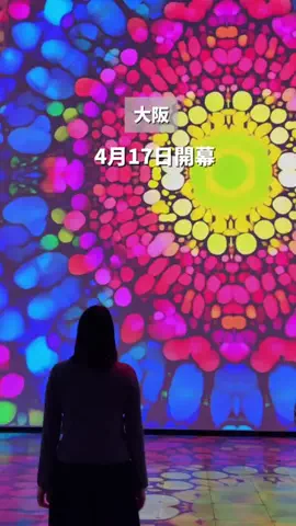 すいのTikTok投稿