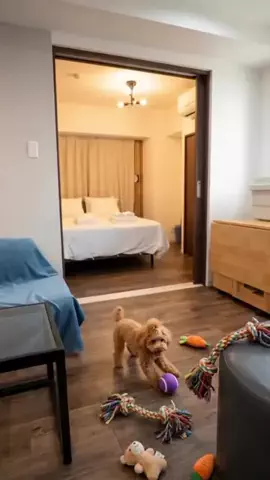 すいのTikTok投稿