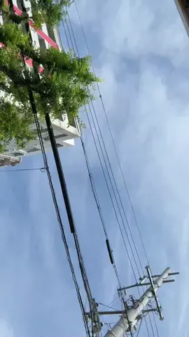せいらのTikTok投稿