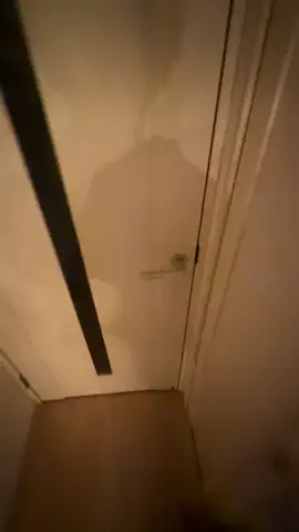 伊藤家のひろし🐈‍⬛🐾のTikTok投稿