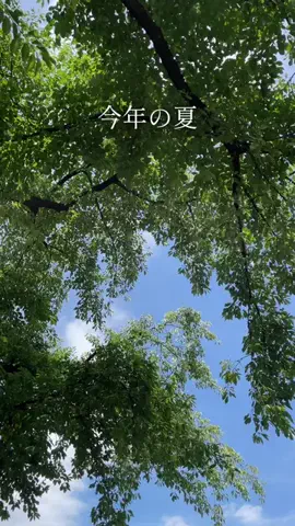 Saku暮らしのTikTok投稿