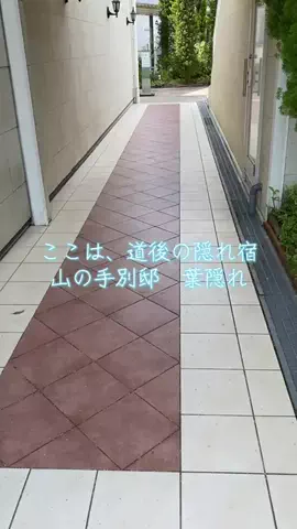 らんらん/旅行記/５０代女性のTikTok投稿