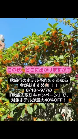 ☘️えりんこ☘️👽のTikTok投稿