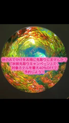 ☘️えりんこ☘️👽のTikTok投稿