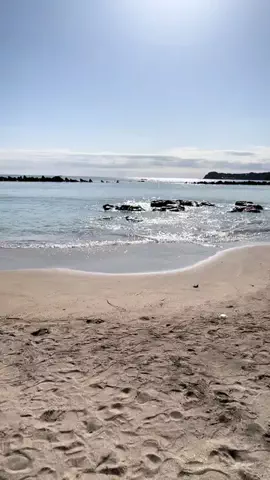 ☘️えりんこ☘️👽のTikTok投稿