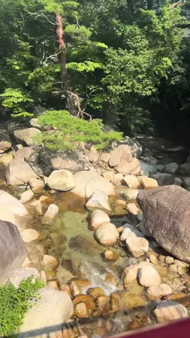☘️えりんこ☘️👽のTikTok投稿