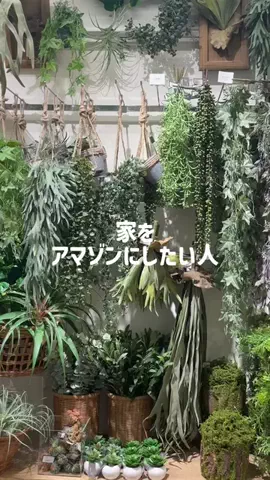 hinata|悩まない・迷わない・センス不要なインテリアのTikTok投稿