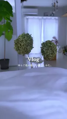 saya｜自然と、くらしと、インテリア。のTikTok投稿