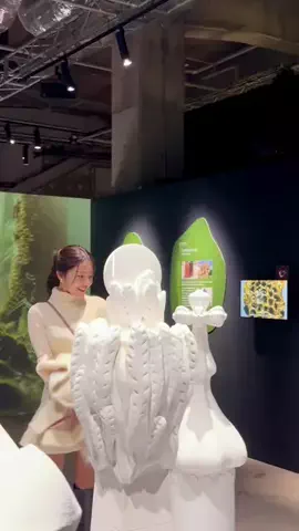 八幡美咲のTikTok投稿