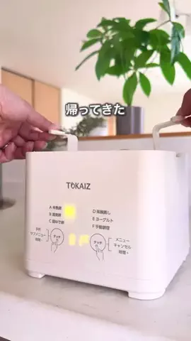 ハレ弁のTikTok投稿