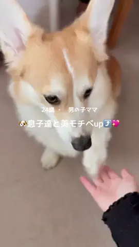 𝙢𝙞𝙣𝙤𝙧𝙞のTikTok投稿