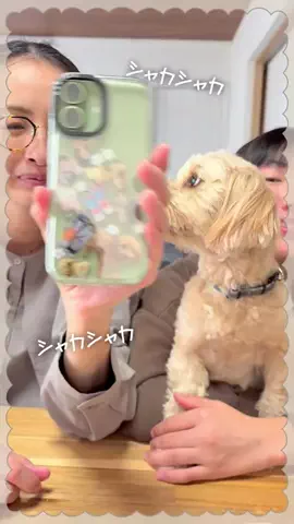 こはたいちゃんねる🎃🌈💫のTikTok投稿