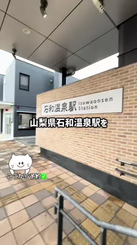 🐰のTikTok投稿