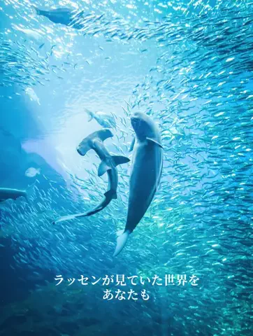 T監督のTikTok投稿