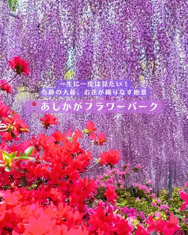 みぽ🌞心震える旅の記録のTikTok投稿