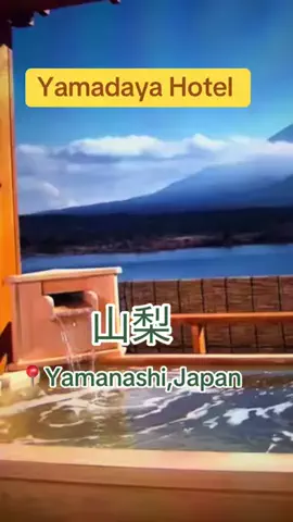 💝アンズ💕 🇯🇵のTikTok投稿