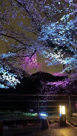 みぽ🌞心震える旅の記録のTikTok投稿