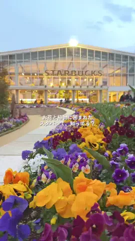 みぽ🌞心震える旅の記録のTikTok投稿