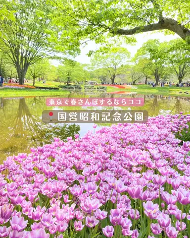 みぽ🌞心震える旅の記録のTikTok投稿