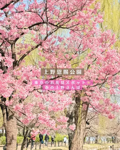 みぽ🌞心震える旅の記録のTikTok投稿