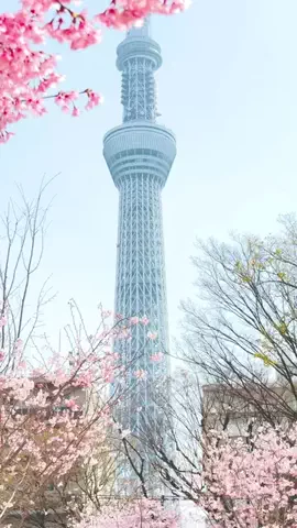 みぽ🌞心震える旅の記録のTikTok投稿