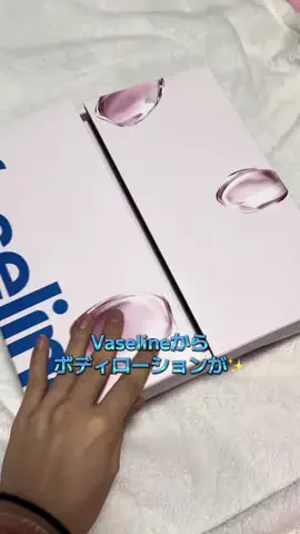 チビちゃんのTikTok投稿