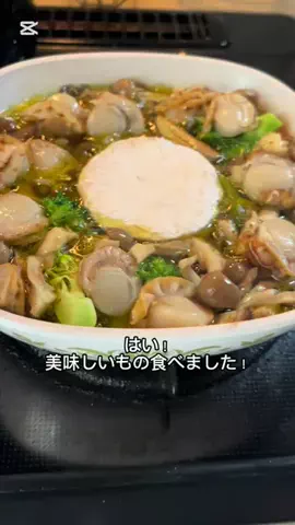 Ricoと🦉れんじの正直レビューのTikTok投稿