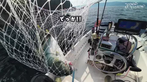 ジョイナスフィッシングのTikTok投稿