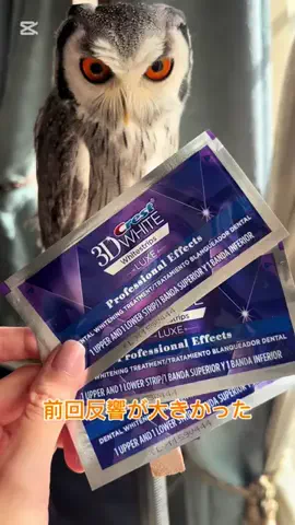 Ricoと🦉れんじの正直レビューのTikTok投稿