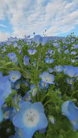 MottyTravel👒のTikTok投稿