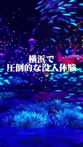 トピ子🐰みみより情報ピックアップ♡のTikTok投稿