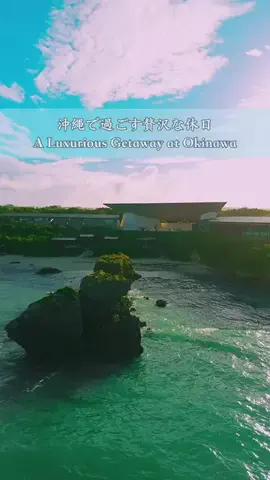 Jeanny Abigan HitosugiのTikTok投稿