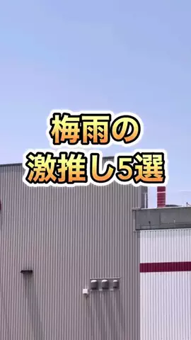 コストコ浜美のTikTok投稿
