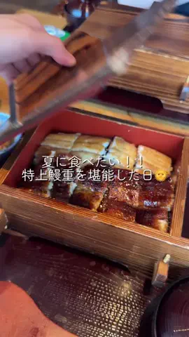 なつれぽ🍜🧸のTikTok投稿