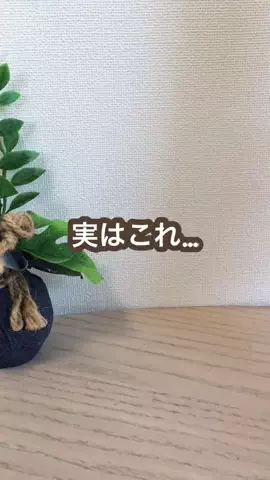 こあら博士| iPhone活用術🐨のTikTok投稿