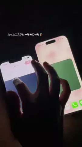 ぽん太のTikTok投稿