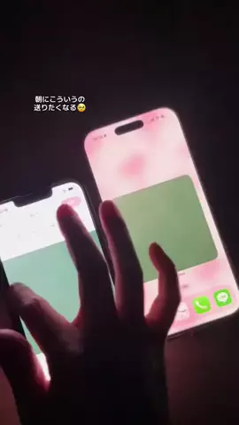 ぽん太のTikTok投稿