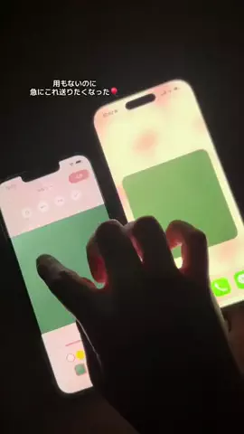 ぽん太のTikTok投稿